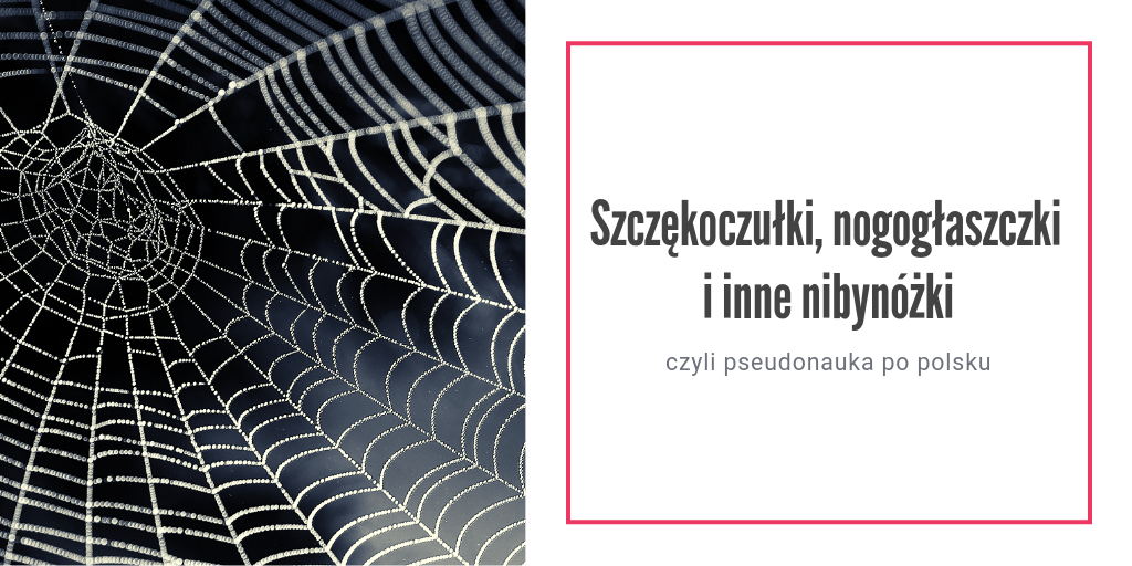 3 zasady języka polskiego, których nie lubię pisownia łączna i rozłączna